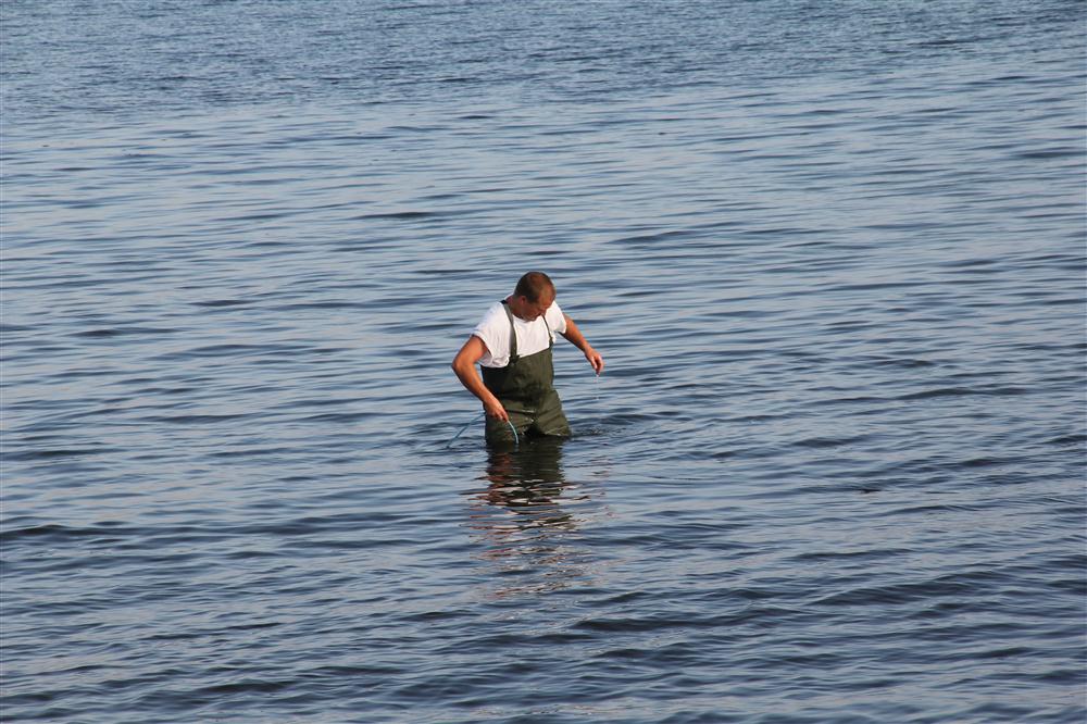 Vis 20120816 183730.jpg i fuld st�rrelse